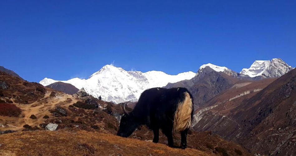 travle and tourism guide in nepal 